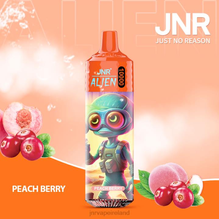 Peach Berry JNR vape price 6X8L135 JNR ALIEN