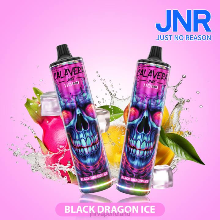 Black Dragon Ice JNR vapes website 6X8L300 JNR CALAVERA