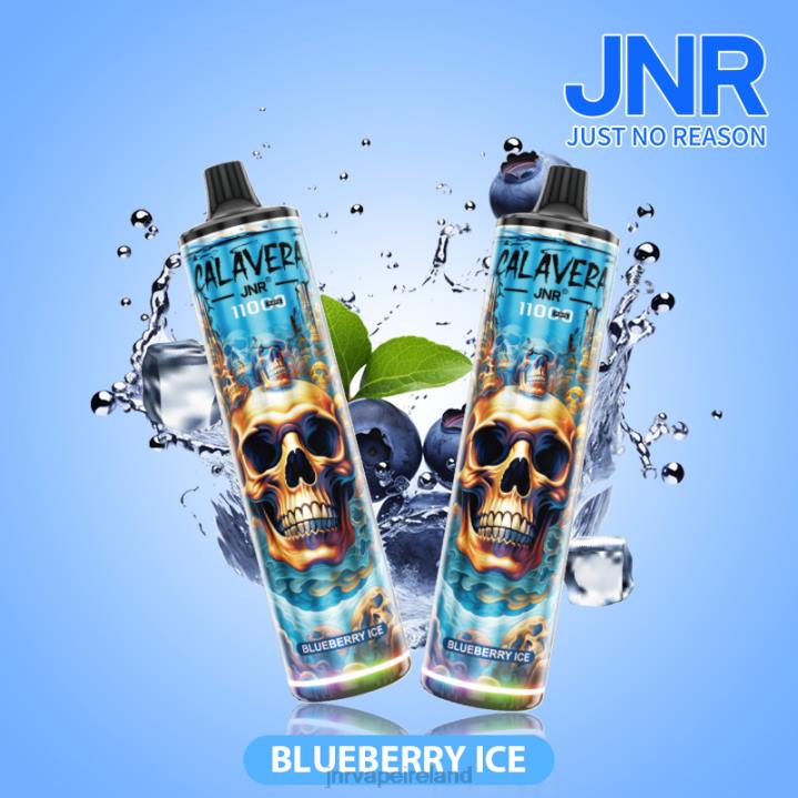 Blueberry Ice JNR vape 6X8L292 JNR CALAVERA