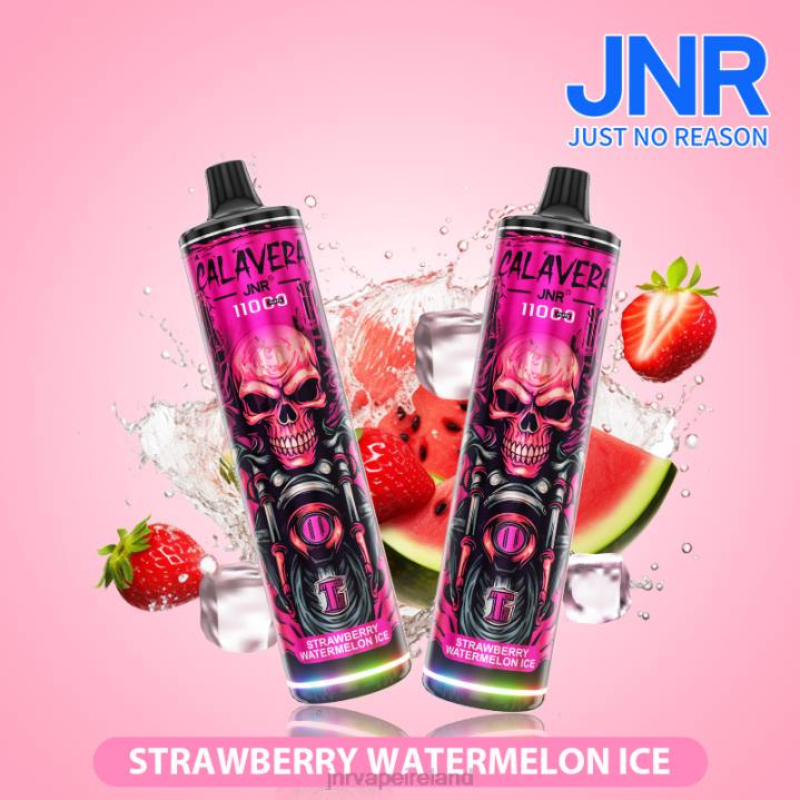 Watermelon Bubble Gum JNR vape price 6X8L306 JNR CALAVERA