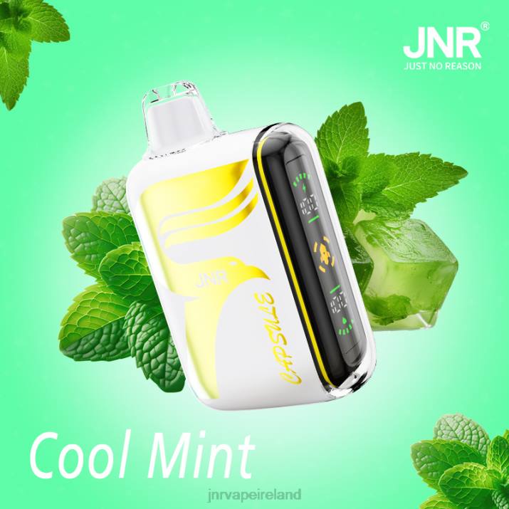 Cool Mint JNR vapes factory HTVV62 JNR CAPSULE