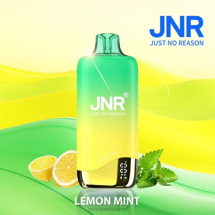 Lemon Mint JNR vapes factory 6X8L257 JNR RAINBOW