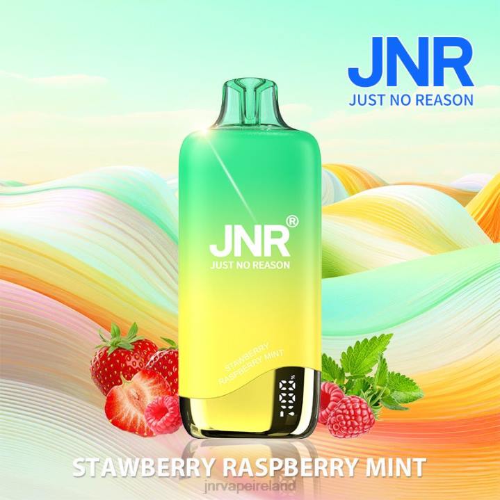 Strawberry Raspberry Mint JNR vape Dublin 6X8L268 JNR RAINBOW