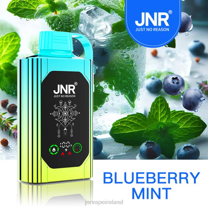 Blueberry Mint JNR vape HTVV88 JNR SHISHA BOX