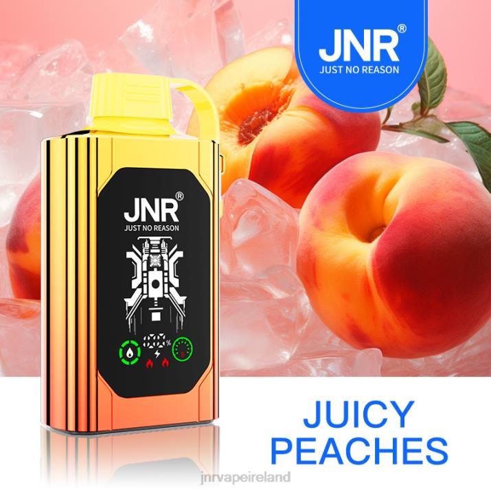 Juicy Peaches JNR vape price HTVV84 JNR SHISHA BOX