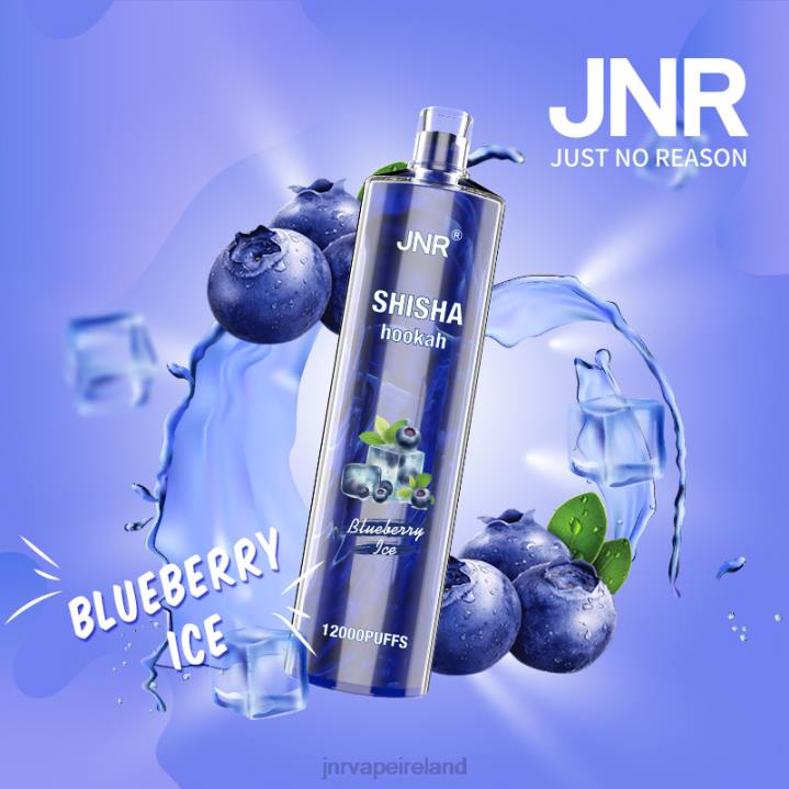 Blueberry Ice JNR vape Ireland 6X8L161 JNR SHISHA