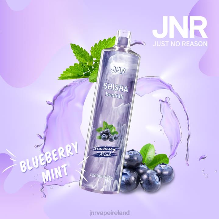 Blueberry Mint JNR vape shop 6X8L172 JNR SHISHA