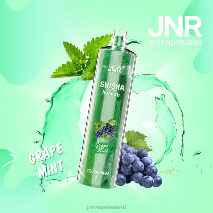 Grape Mint JNR vape price 6X8L171 JNR SHISHA