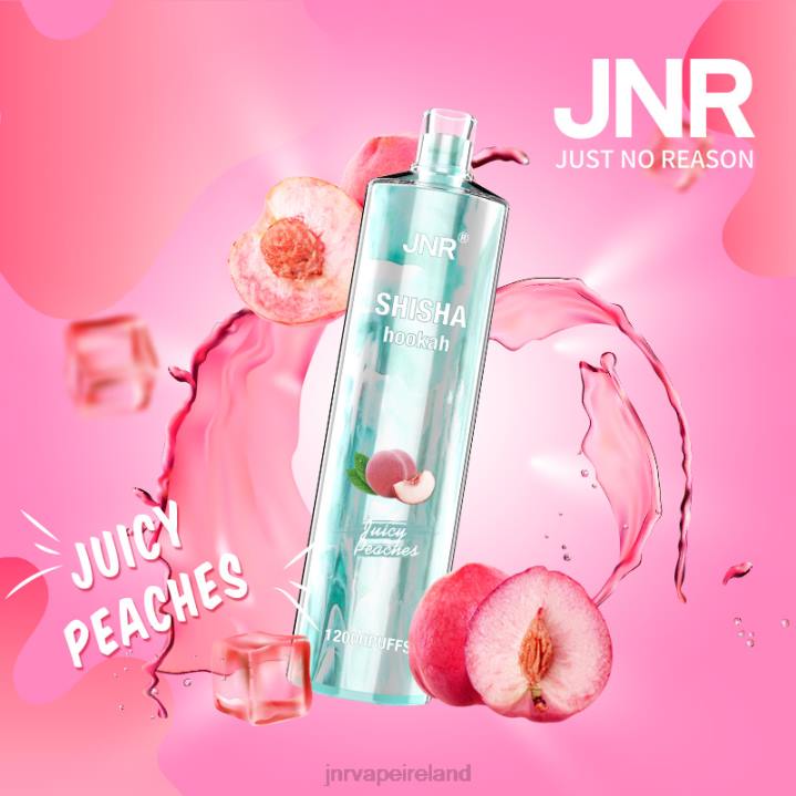 Juicy Peaches JNR vape price 6X8L180 JNR SHISHA
