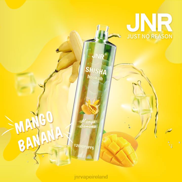 Mango Banana JNR vapes website 6X8L165 JNR SHISHA