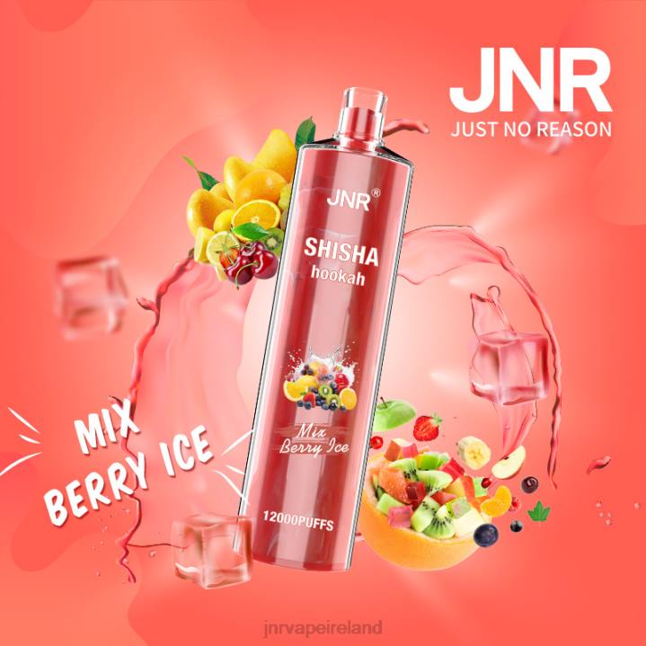 Mix Berry Ice JNR vape 6X8L166 JNR SHISHA