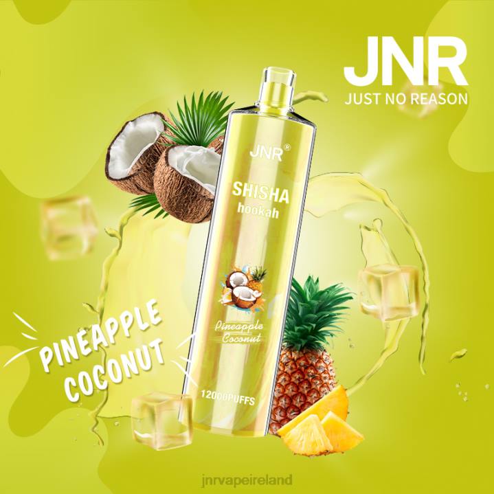 Pineapple Coconut JNR vapes factory 6X8L167 JNR SHISHA