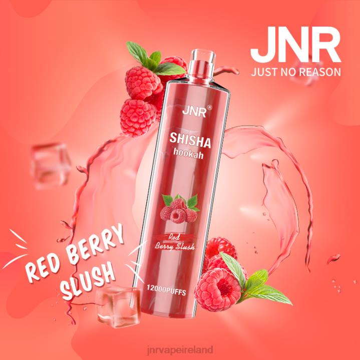Red Berry Slush JNR vape nicotine content 6X8L168 JNR SHISHA