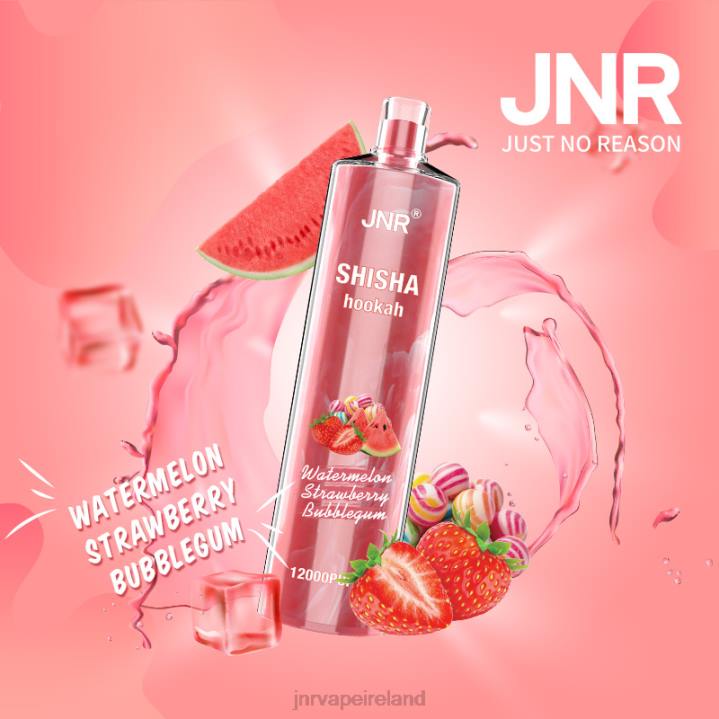 Watermelon Strawberry Bubblegum JNR vape 6X8L184 JNR SHISHA