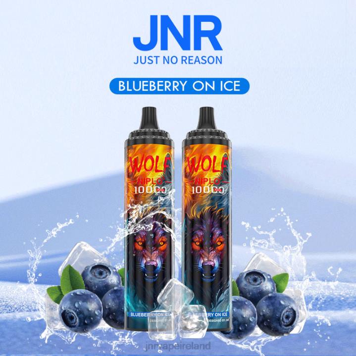 Blueberry On Ice JNR vape Dublin 6X8L358 JNR WOLF NIPLO