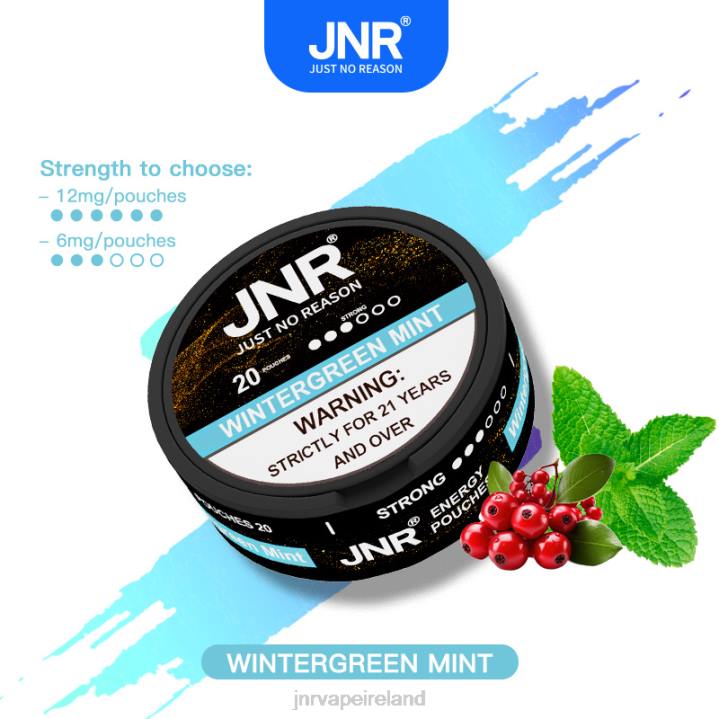 Wintergreen Mint JNR vape Dublin 6X8L106 JNR ENERGY POUCHES